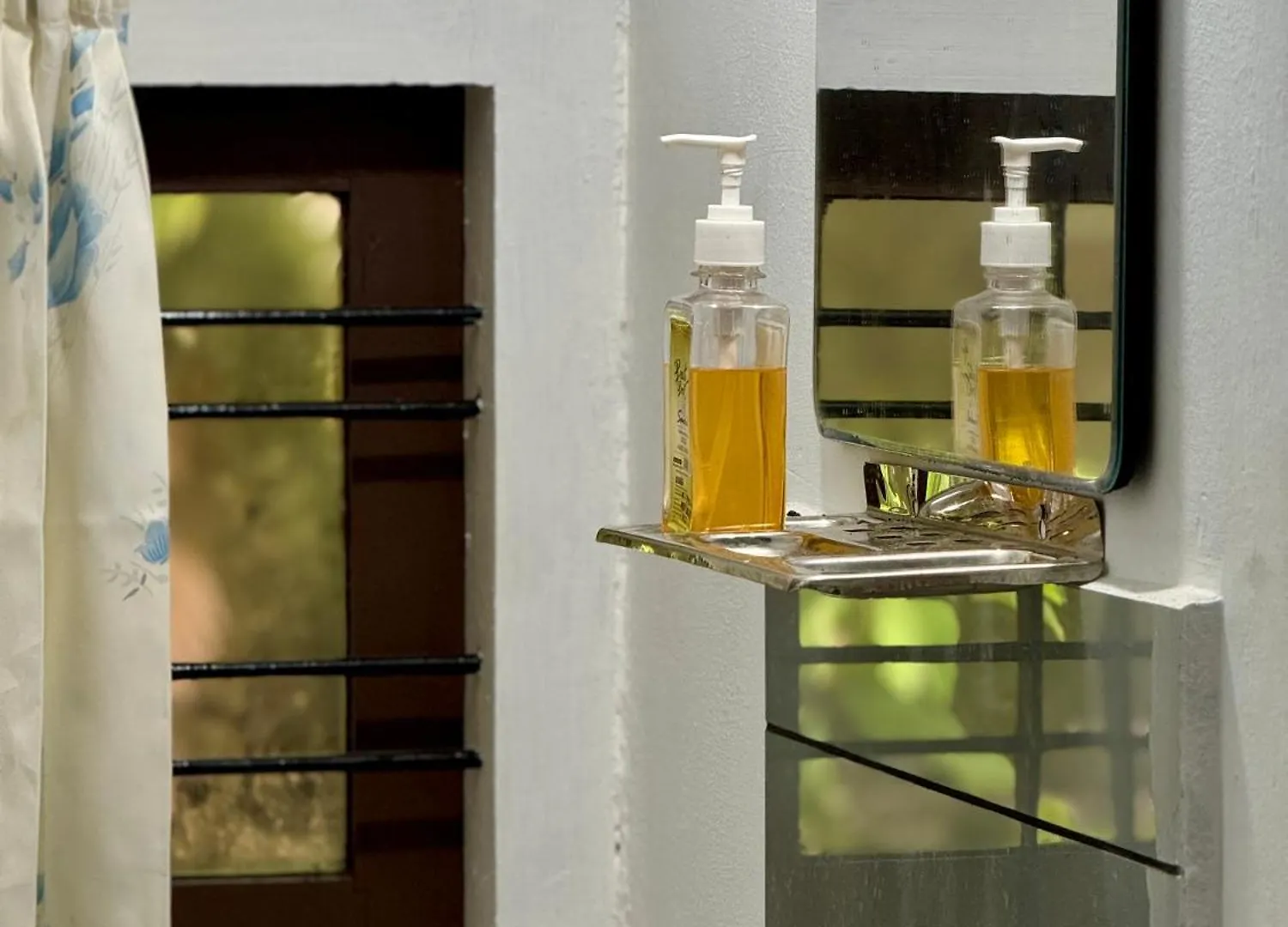 Sanctuary View Homestay Thattekad Kochi India