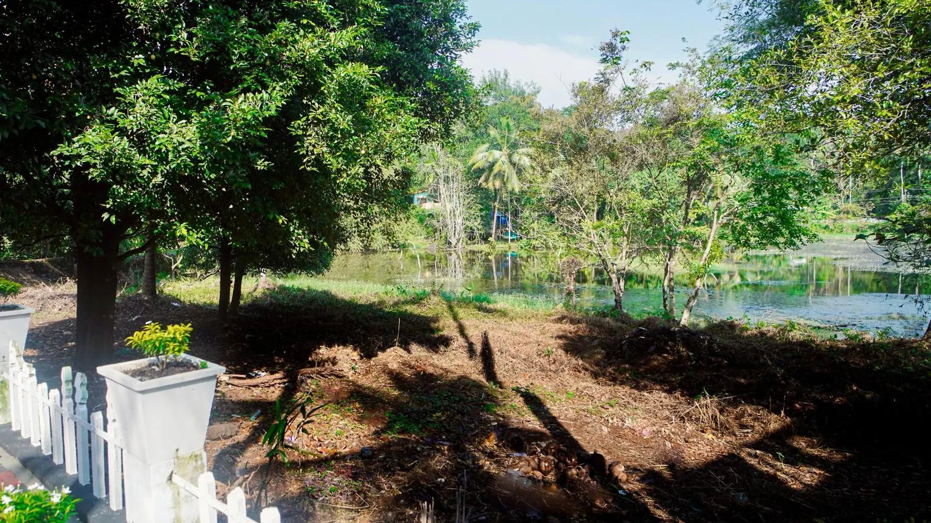 Sanctuary View Homestay Thattekad Kochi India