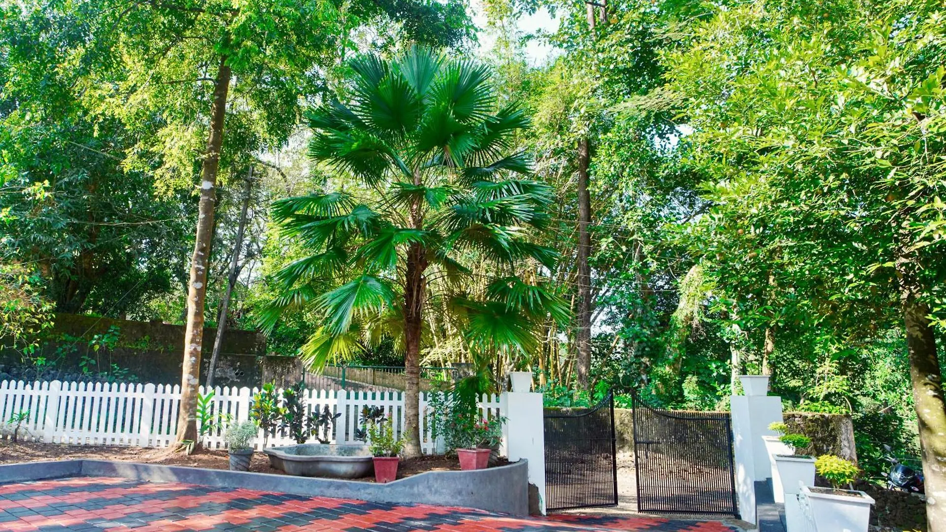 Sanctuary View Homestay Thattekad Kochi 0*,  India