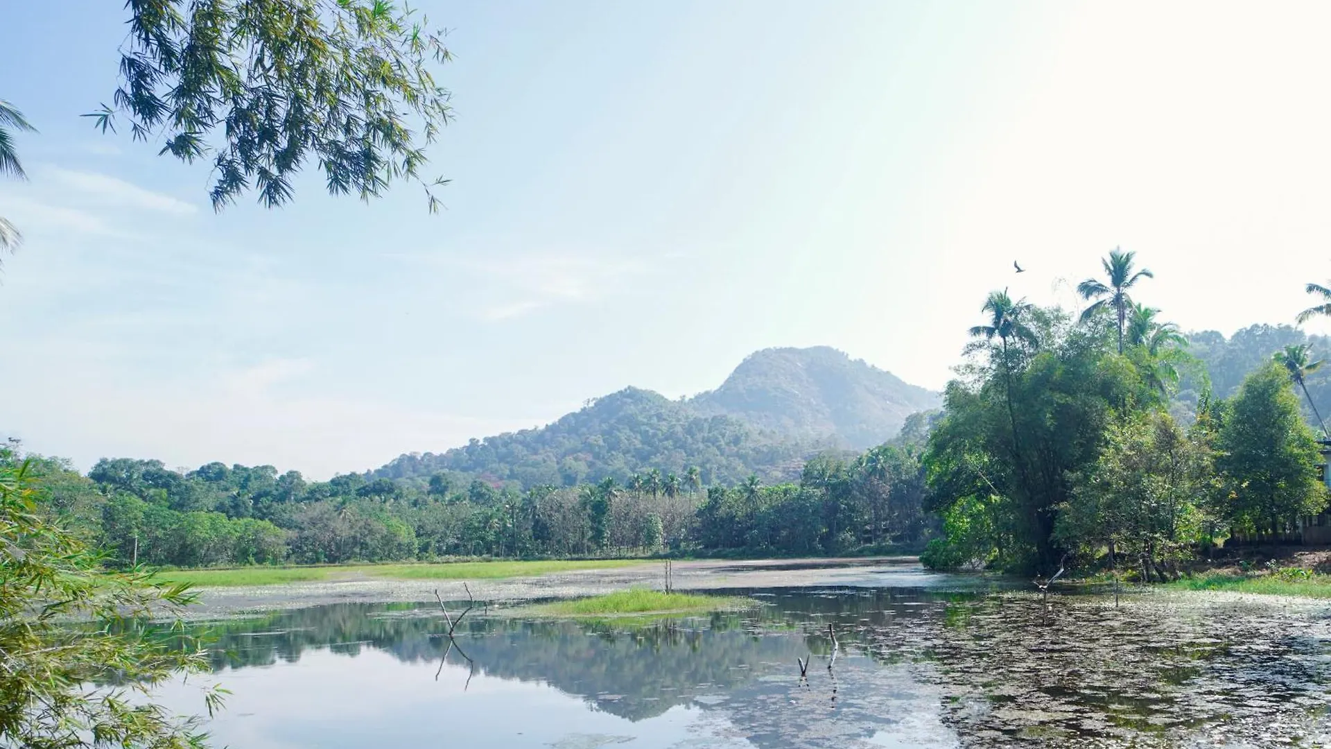 Sanctuary View Homestay Thattekad Kochi 0*,  印度