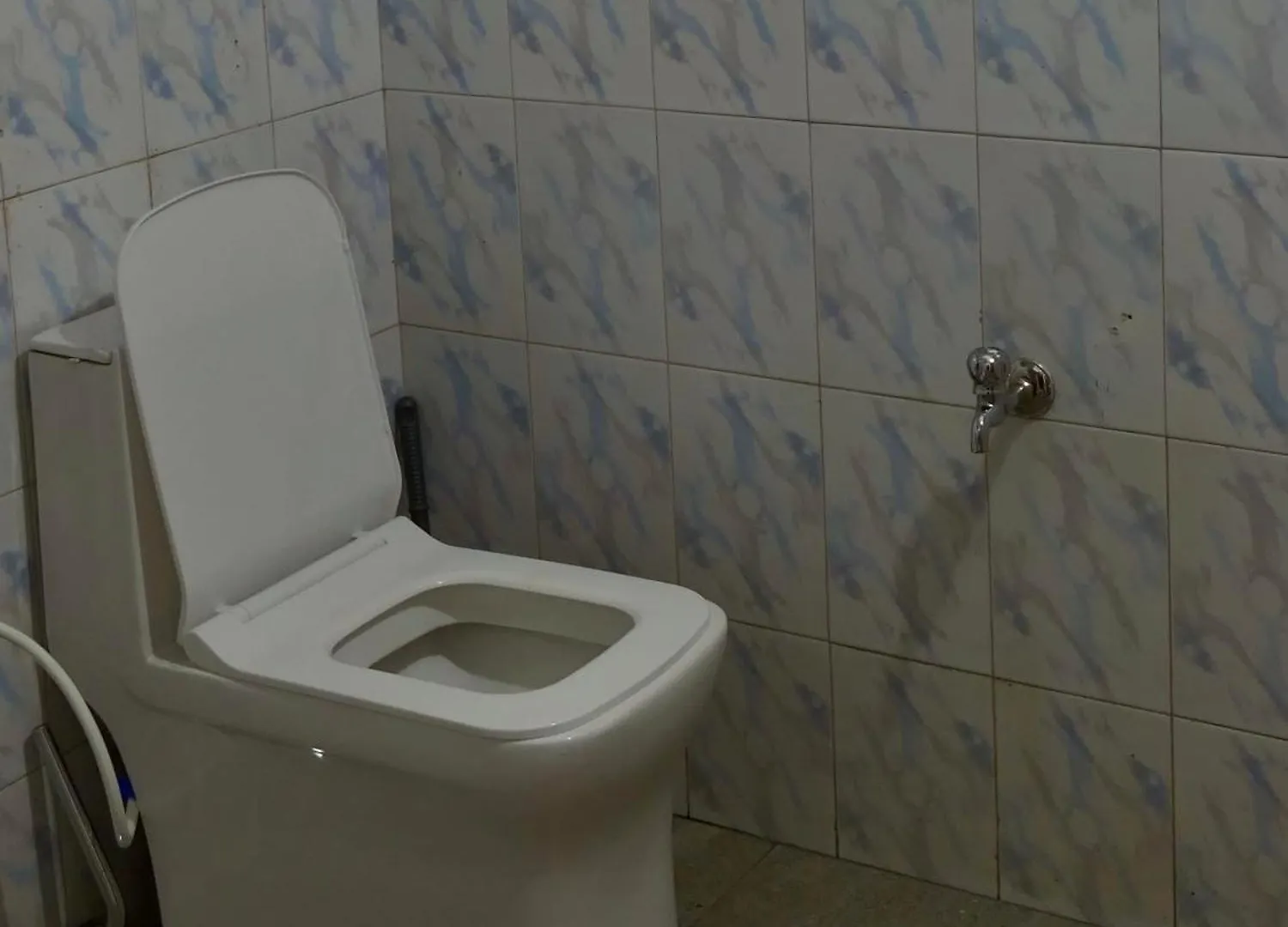 Sanctuary View Homestay Thattekad Kochi 0*,  印度
